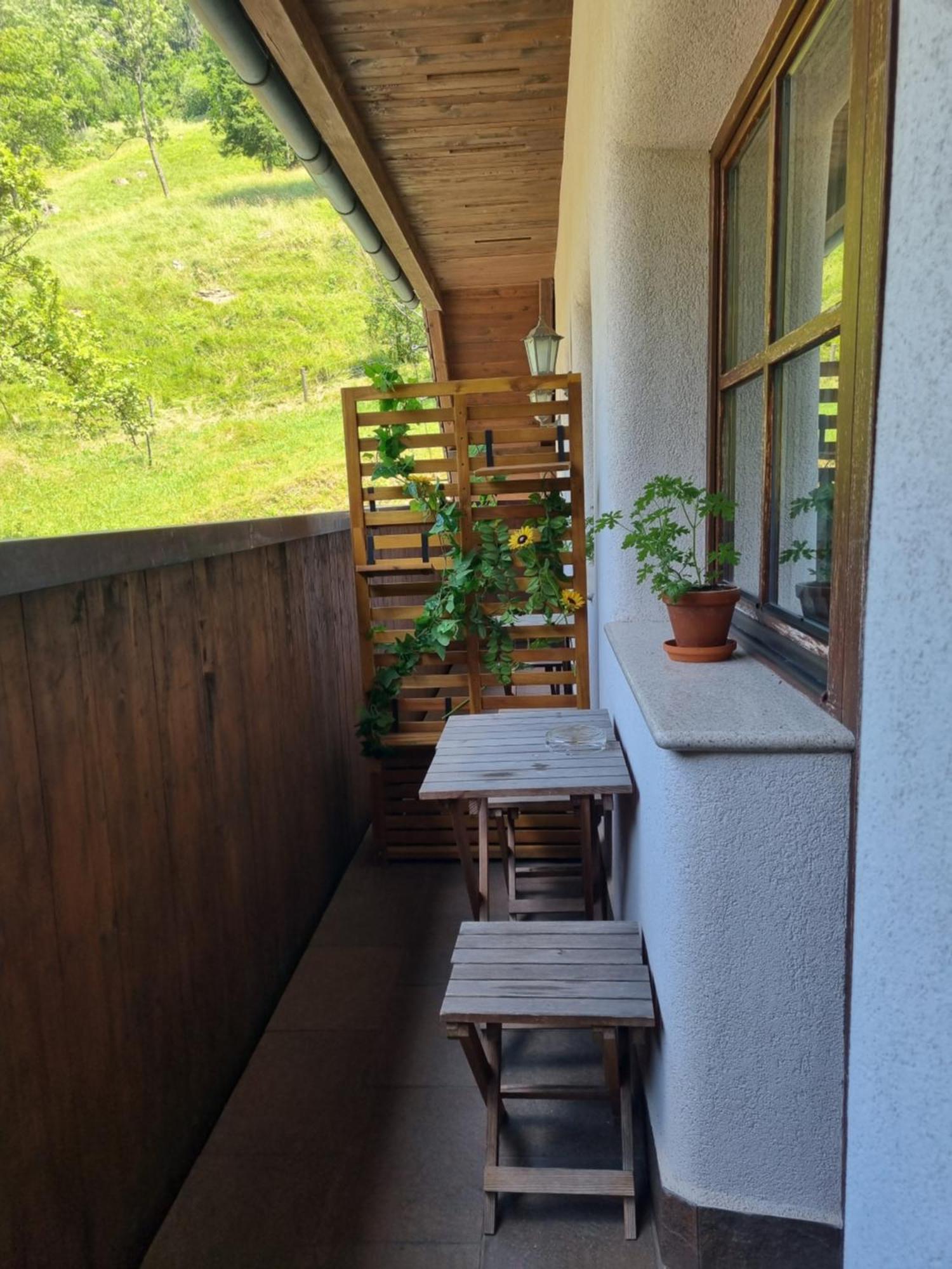 Apartments Pod Macesnovo Streho Solčava 外观 照片