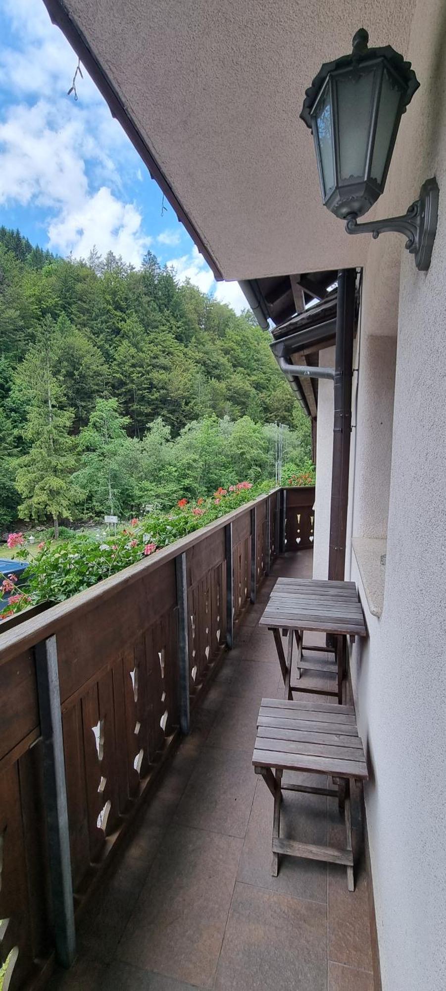 Apartments Pod Macesnovo Streho Solčava 外观 照片