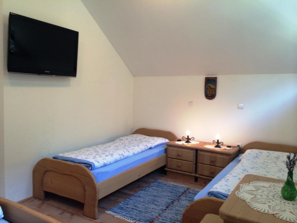 Apartments Pod Macesnovo Streho Solčava 外观 照片
