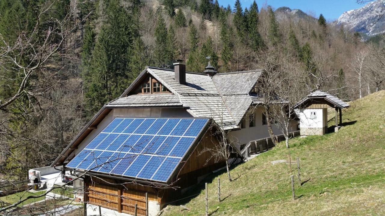 Apartments Pod Macesnovo Streho Solčava 外观 照片