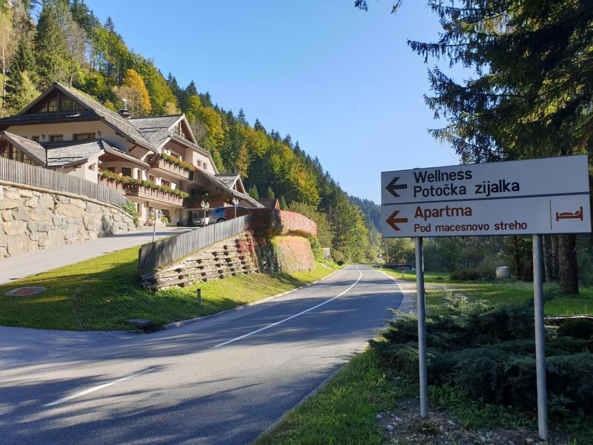 Apartments Pod Macesnovo Streho Solčava 外观 照片