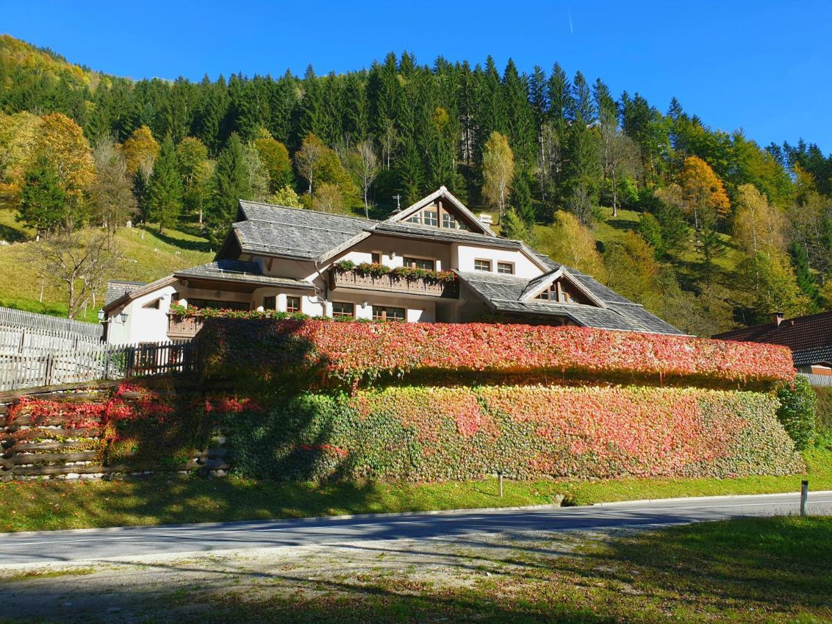 Apartments Pod Macesnovo Streho Solčava 外观 照片
